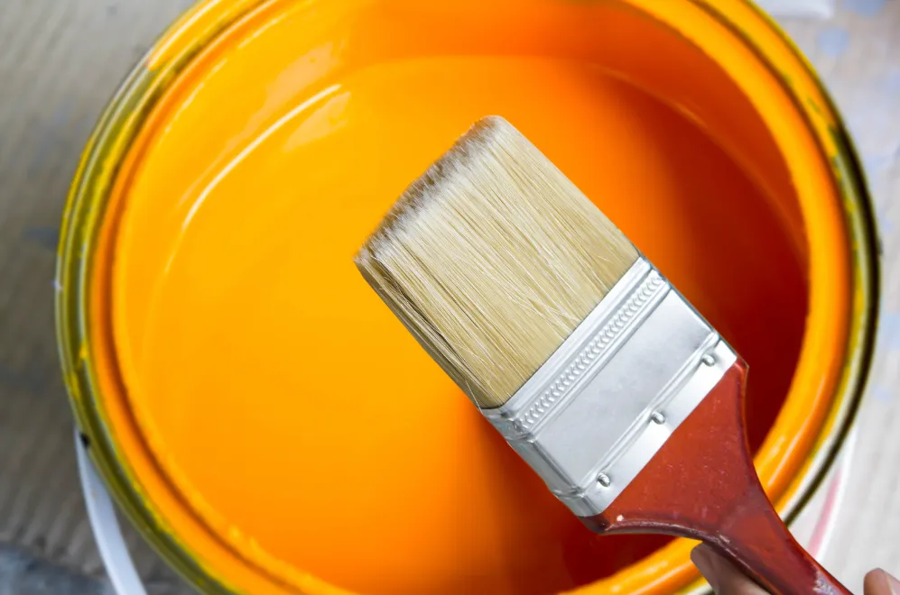 peinture interieur saint james